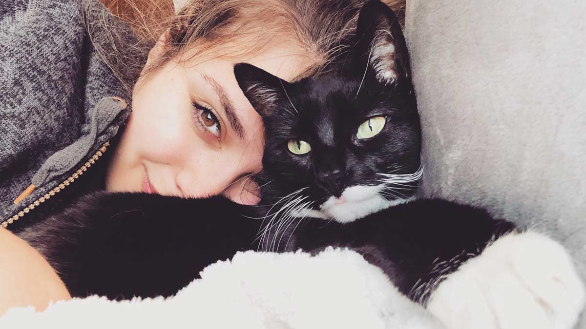 Black Cat Day